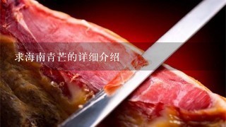 求海南青芒的详细介绍 求海南青芒的详细介绍