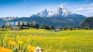 纯蜂蜜多钱1斤 纯蜂蜜多钱1斤
