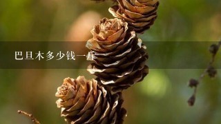 巴旦木多少钱1斤 巴旦木多少钱1斤