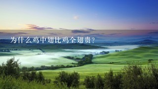 为什么鸡中翅比鸡全翅贵? 为什么鸡中翅比鸡全翅贵?