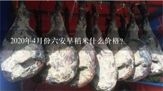 2020年4月份6安早稻米什么价格? 2020年4月份6安早稻米什么价格?