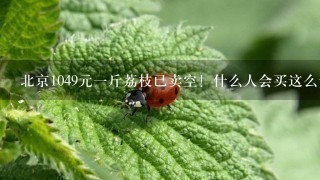 北京1049元1斤荔枝已卖空!什么人会买这么贵的荔枝 北京1049元1斤荔枝已卖空!什么人会买这么贵的荔枝