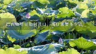 巴西咖啡豆如何进口,进口需要多少钱 巴西咖啡豆如何进口,进口需要多少钱
