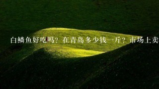 白鳞鱼好吃吗?在青岛多少钱1斤?市场上卖的多吗? 白鳞鱼好吃吗?在青岛多少钱1斤?市场上卖的多吗?