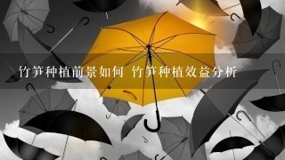 竹笋种植前景如何 竹笋种植效益分析 竹笋种植前景如何 竹笋种植效益分析
