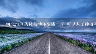 河北地区药材马勃多少钱1斤 可以人工种植吗 产量咋样 河北地区药材马勃多少钱1斤 可以人工种植吗 产量咋样
