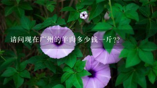 请问现在广州的羊肉多少钱1斤?? 请问现在广州的羊肉多少钱1斤??
