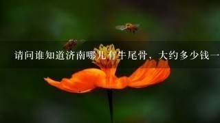 请问谁知道济南哪儿有牛尾骨,大约多少钱1斤,最好是新鲜的,最好详细1点谢谢 请问谁知道济南哪儿有牛尾骨,大约多少钱1斤,最好是新鲜的,最好详细1点谢谢