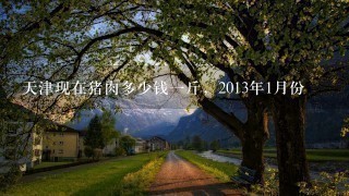 天津现在猪肉多少钱1斤,2013年1月份 天津现在猪肉多少钱1斤,2013年1月份
