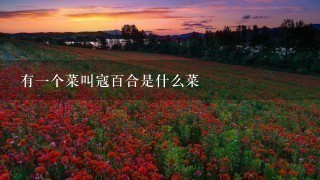 有1个菜叫寇百合是什么菜 有1个菜叫寇百合是什么菜