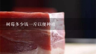 树莓多少钱1斤以便种植 树莓多少钱1斤以便种植