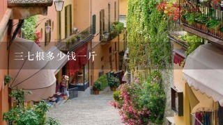 37根多少钱1斤 37根多少钱1斤