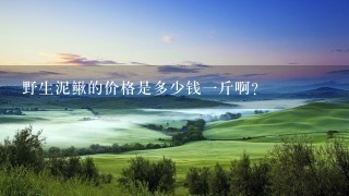 野生泥鳅的价格是多少钱1斤啊? 野生泥鳅的价格是多少钱1斤啊?