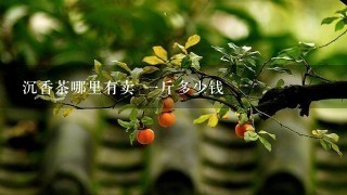 沉香茶哪里有卖 1斤多少钱 沉香茶哪里有卖 1斤多少钱