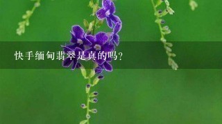 快手缅甸翡翠是真的吗? 快手缅甸翡翠是真的吗?