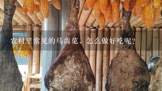 农村里常见的马齿苋,怎么做好吃呢? 农村里常见的马齿苋,怎么做好吃呢?