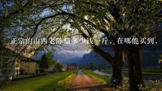 正宗的山西老陈醋多少钱1斤,在哪能买到,我是邢台 正宗的山西老陈醋多少钱1斤,在哪能买到,我是邢台