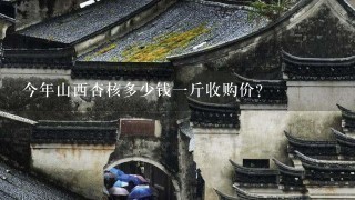 今年山西杏核多少钱1斤收购价? 今年山西杏核多少钱1斤收购价?