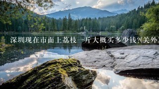 深圳现在市面上荔枝1斤大概买多少钱?(关外) 深圳现在市面上荔枝1斤大概买多少钱?(关外)