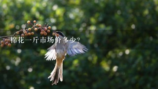 棉花1斤市场价多少? 棉花1斤市场价多少?