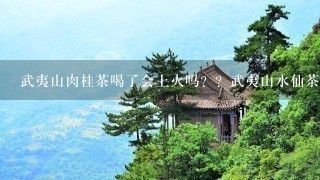 武夷山肉桂茶喝了会上火吗??武夷山水仙茶呢??? 武夷山肉桂茶喝了会上火吗??武夷山水仙茶呢???