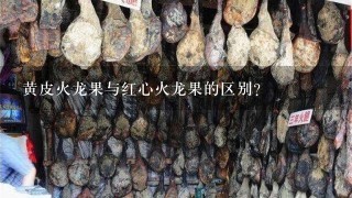 黄皮火龙果与红心火龙果的区别? 黄皮火龙果与红心火龙果的区别?