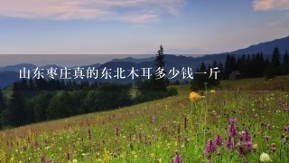山东枣庄真的东北木耳多少钱1斤 山东枣庄真的东北木耳多少钱1斤