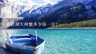阳澄湖大闸蟹多少钱1斤? 阳澄湖大闸蟹多少钱1斤?