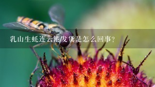 乳山生蚝连云港发货是怎么回事? 乳山生蚝连云港发货是怎么回事?