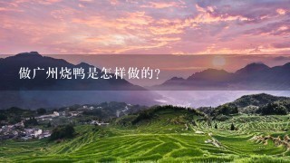 做广州烧鸭是怎样做的? 做广州烧鸭是怎样做的?
