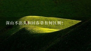 深山不出头和回春草有何区别? 深山不出头和回春草有何区别?