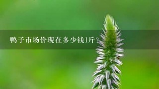 鸭子市场价现在多少钱1斤? 鸭子市场价现在多少钱1斤?