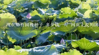 现在那有国槐种子 多少钱1斤 网页上说的国槐种子30元的 能相信吗 现在那有国槐种子 多少钱1斤 网页上说的国槐种子30元的 能相信吗