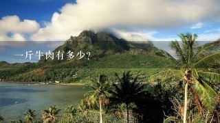1斤牛肉有多少? 1斤牛肉有多少?