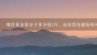 现在黄金苗谷子多少钱1斤,还有没有涨价的可能? 现在黄金苗谷子多少钱1斤,还有没有涨价的可能?