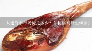 大连海参市场价是多少?如何辨别野生海参?干海参怎 大连海参市场价是多少?如何辨别野生海参?干海参怎