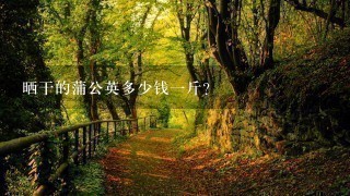 晒干的蒲公英多少钱1斤? 晒干的蒲公英多少钱1斤?