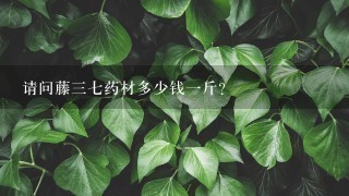 请问藤37药材多少钱1斤? 请问藤37药材多少钱1斤?