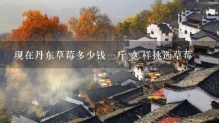 现在丹东草莓多少钱1斤 怎样挑选草莓 现在丹东草莓多少钱1斤 怎样挑选草莓