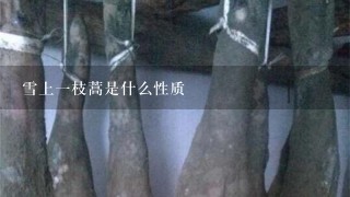 雪上1枝蒿是什么性质 雪上1枝蒿是什么性质