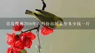 青岛樱桃2016年6月份市场卖价多少钱1斤 青岛樱桃2016年6月份市场卖价多少钱1斤