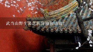 武当山野生灵芝的价格和功效? 武当山野生灵芝的价格和功效?