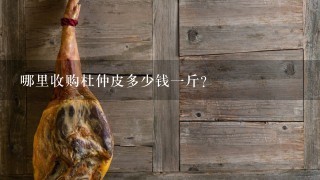 哪里收购杜仲皮多少钱1斤？