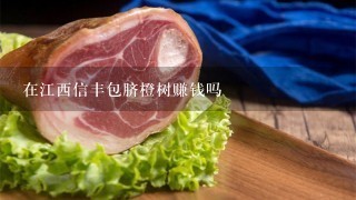 在江西信丰包脐橙树赚钱吗 在江西信丰包脐橙树赚钱吗