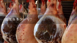 虎斑鱼多少1斤? 虎斑鱼多少1斤?