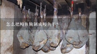 怎么把鳗鱼腌制成鳗鱼干? 怎么把鳗鱼腌制成鳗鱼干?