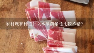 农村现在种植什么水果前景还比较不错? 农村现在种植什么水果前景还比较不错?