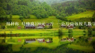 用秤称 马蜂窝100元1斤 1公斤应该按几数字几? 用秤称 马蜂窝100元1斤 1公斤应该按几数字几?