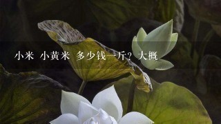 小米 小黄米 多少钱1斤?大概 小米 小黄米 多少钱1斤?大概