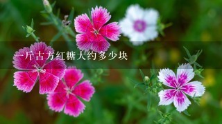 1斤古方红糖大约多少块 1斤古方红糖大约多少块